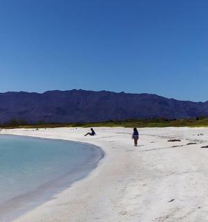 two people walking on a beach with the water