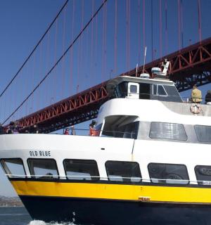 a cruise ship passing under the golden gate bridge