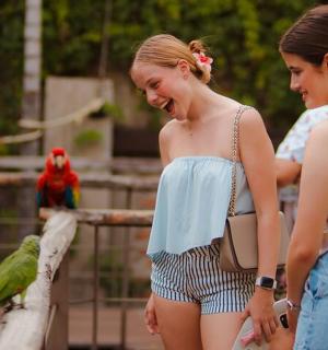 two young women are laughing at a parrot