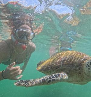 一名女子和一只乌龟在水中