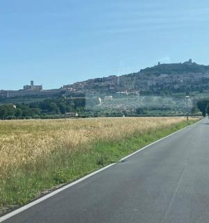 prázdná silnice uprostřed pole