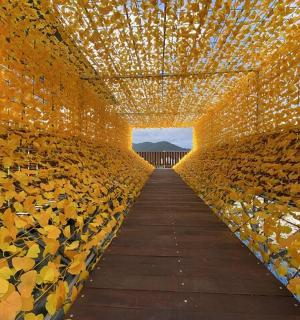 a tunnel filled with lots of gold lights