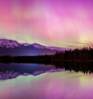 树木和山脉环绕的湖泊上空的极光