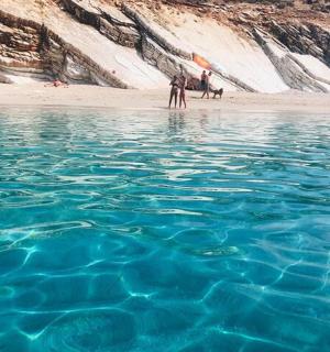 a group of people in the water on a beach