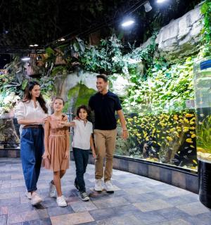 一家人站在水族馆前