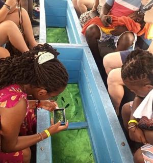 一群人坐在公交车上看手机