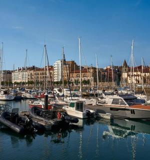 a bunch of boats are docked in a harbor