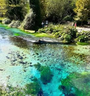 a river with turquoise water and trees
