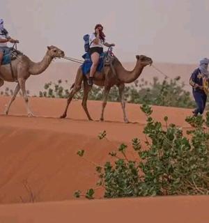 a group of people riding camels in the desert