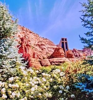 skalní hora se stromy před ní