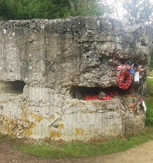 草地上有一堵石墙，墙上有一个消防栓