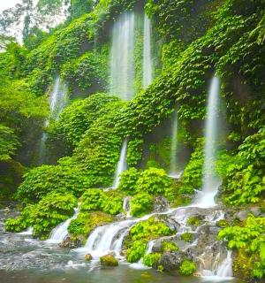 skupina vodopádů v řece se stromy