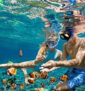 un uomo e un bambino che danno da mangiare ai pesci nell'acqua