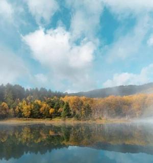 背景为树木的水域
