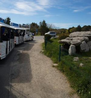两辆巴士停在栅栏旁,人们正在观看长颈鹿