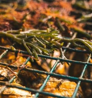 烤架上放有食物的特写