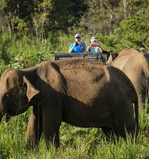 two people are riding in a cart on top of an elephant