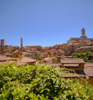 a view of a city with roofs