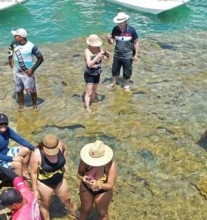a group of people standing in the water at the beach