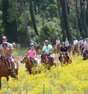 a group of people riding horses in a field