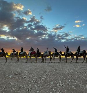 a group of people riding on camels on the beach