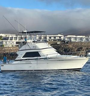 水中有一艘白色小船,背景是建筑物