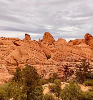 a large rock formation with trees in front of it