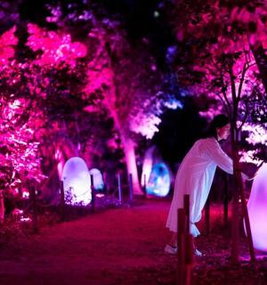 一名男子坐在公园长椅上，周围是紫色的灯光