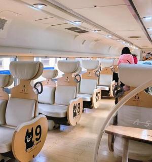 一辆空座位的火车，里面站着一名女子