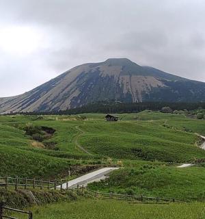 田野中间有一座山，有一条路