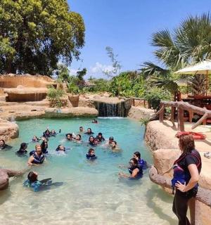 a group of people in a pool at a water park