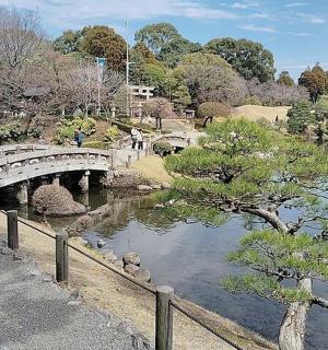 a bridge over a river in a park