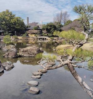 池塘中央有一棵树，周围有岩石