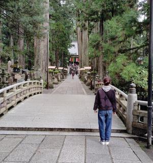 一个人走过墓地里的一座桥