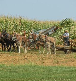 一群骑马的男人拉着一辆拖车