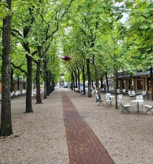 穿过公园的小路，有椅子和树木