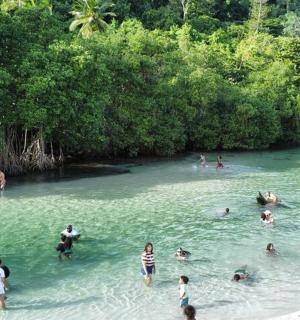 a group of people swimming in a river