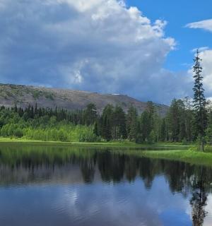 jezero se stromy a horou v pozadí