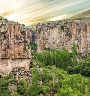 一座岩石山的景色，山前有树木