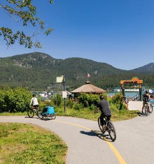 一群人骑着自行车沿着道路行驶