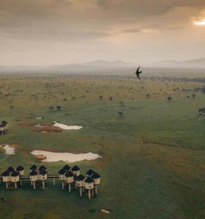 田野里摆放着一组带遮阳伞的椅子