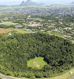 an aerial view of a city with trees and a road