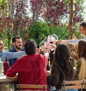 一群人围坐在桌旁喝酒