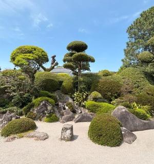 有灌木、树木和岩石的花园