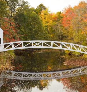 池塘上建有一座白色桥梁，桥上有一座房子