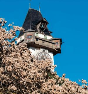 一栋带有塔楼的建筑，后面是一棵开着粉色花朵的树