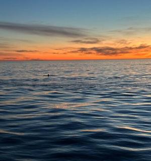 夕阳下的水中小船