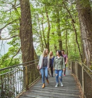 skupina lidí jdoucích po mostě v lese