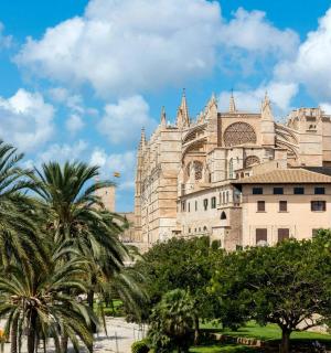 一座前面有棕榈树的大楼