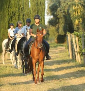 一群人骑马沿着小路走